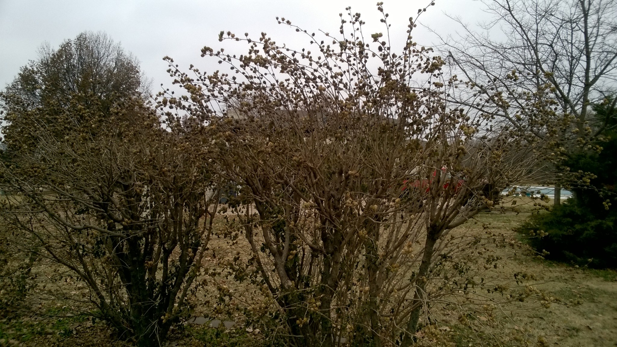 WP_20181117_09_06_12_Pro