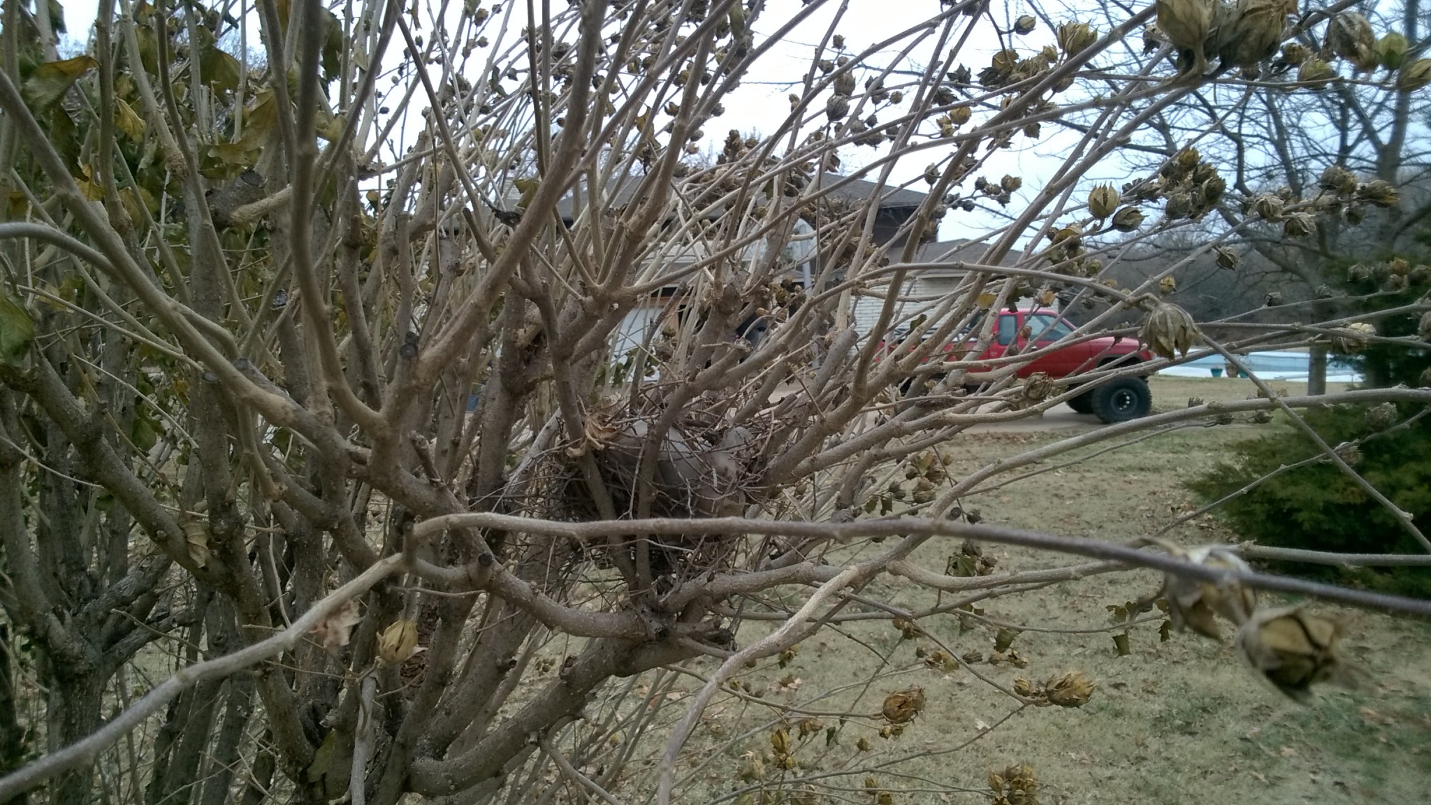 WP_20181117_09_06_23_Pro