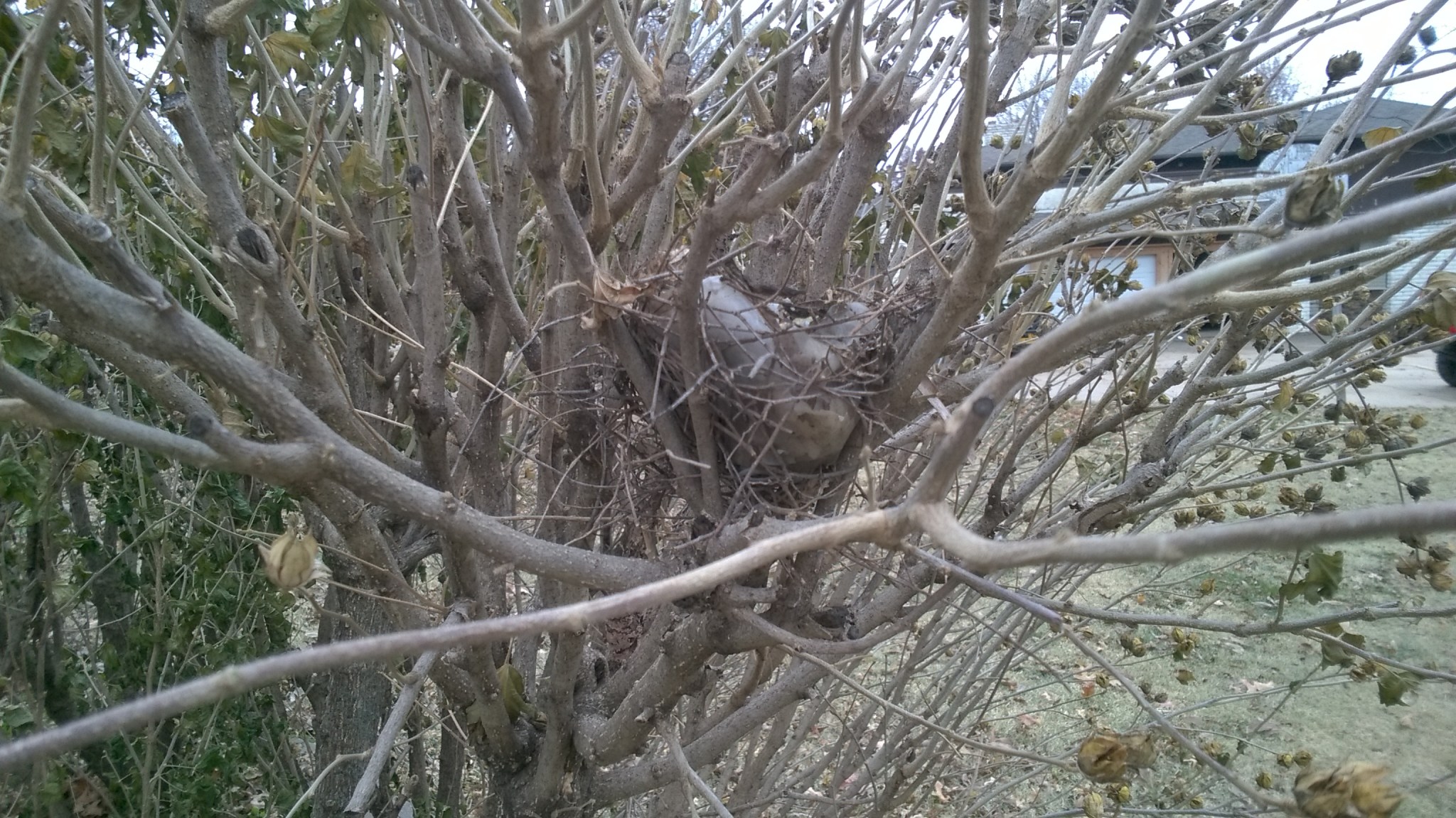 WP_20181117_09_06_30_Pro