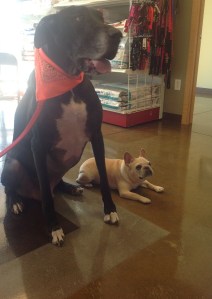 977903_472377092836800_756937793_o