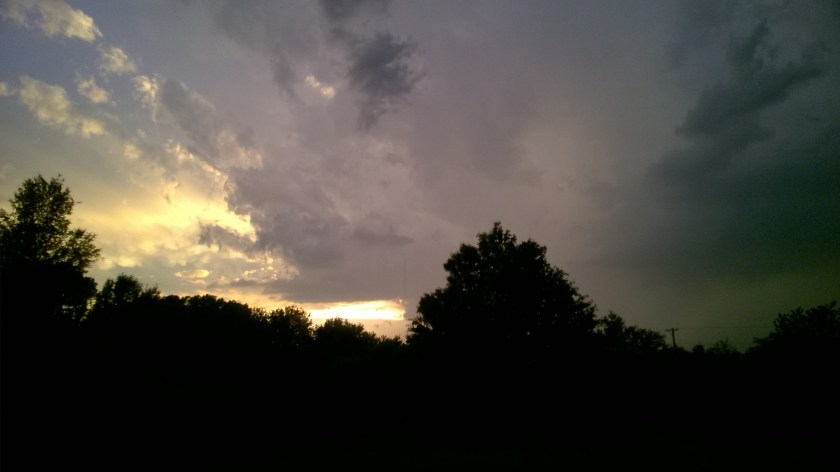 WP_20180529_20_41_26_Pro