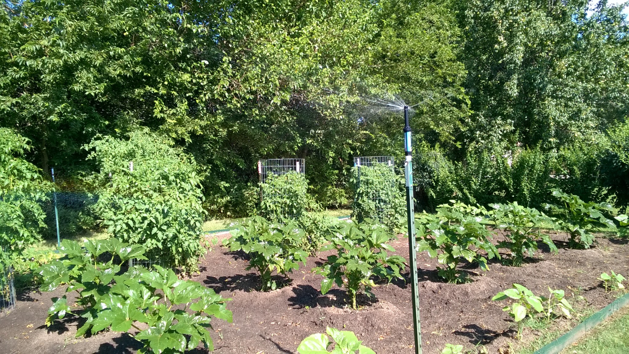 WP_20160720_17_05_15_Pro_LI