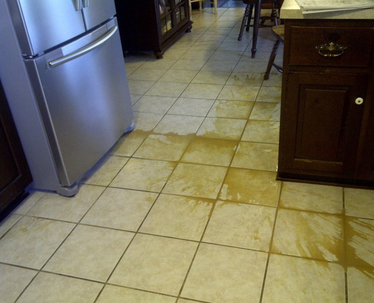 27229-attica-20120822-00616