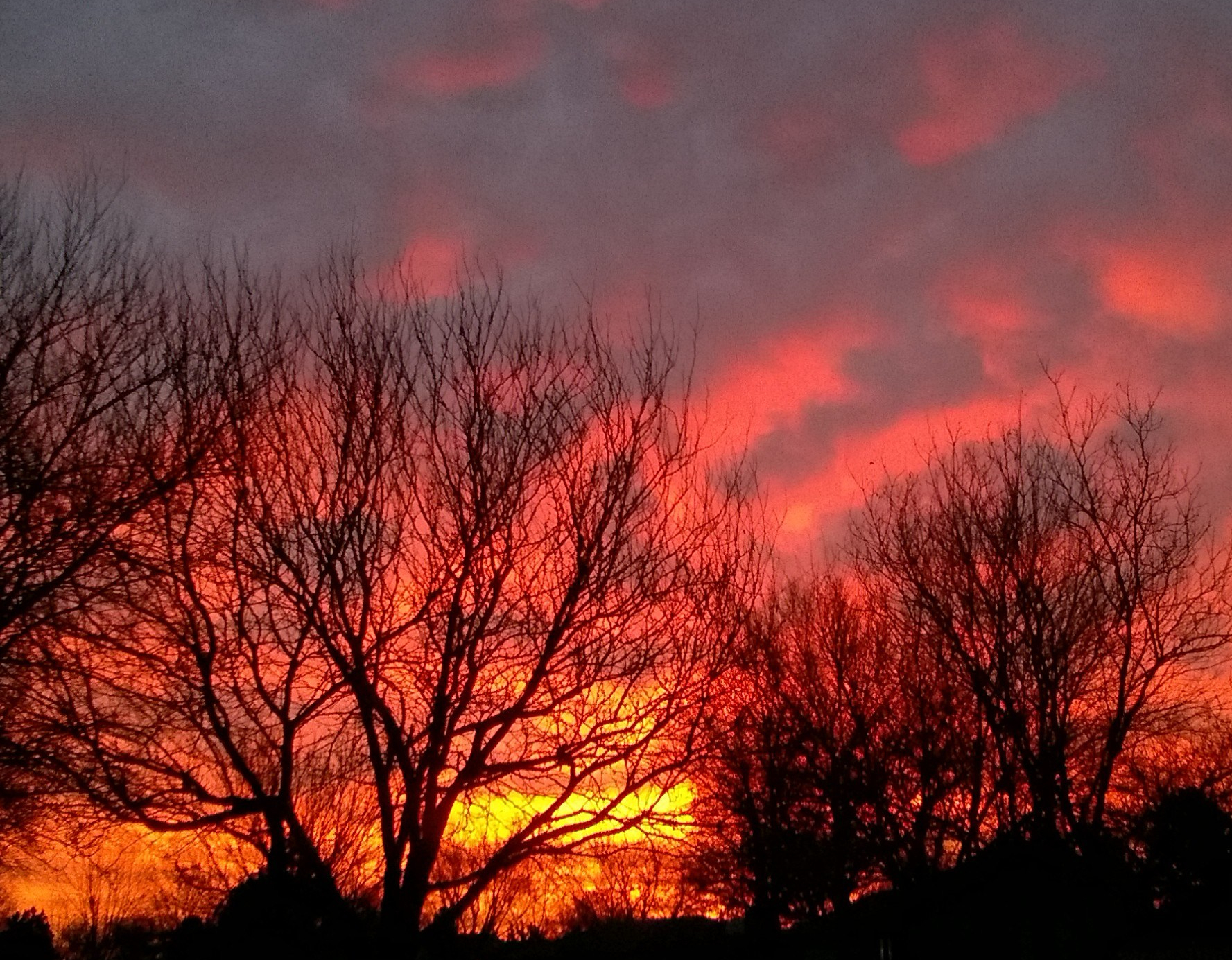 WP_20180109_07_33_17_Pro (2)