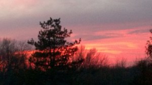 WP_20161210_17_30_01_Pro