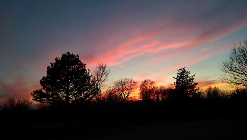 1900556_10152590364876895_2956750724399144986_o