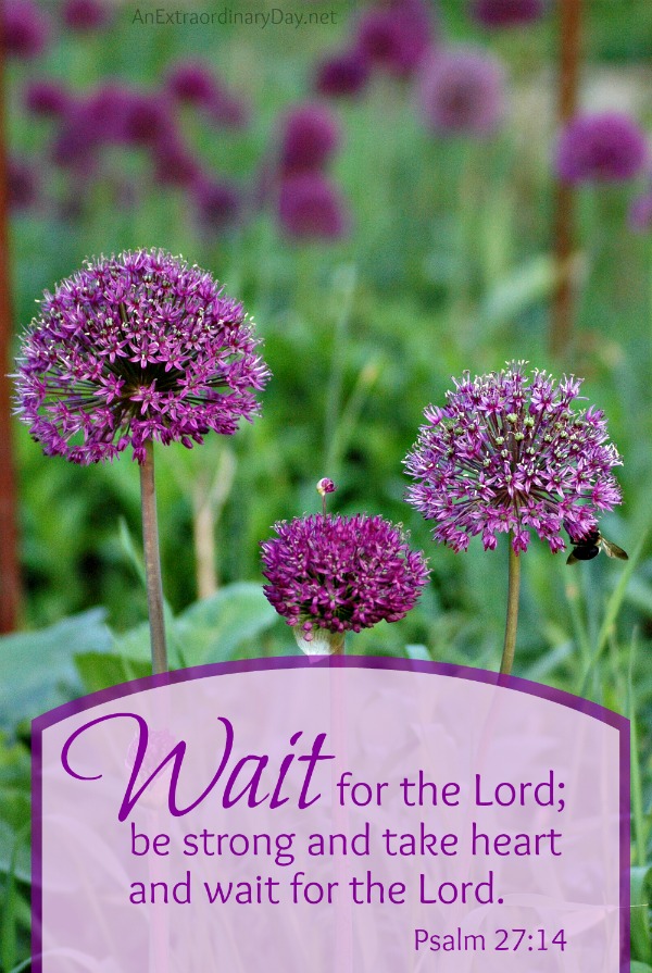 Wait-for-the-Lord-Joy-Day-AnExtraordinaryDay.net_
